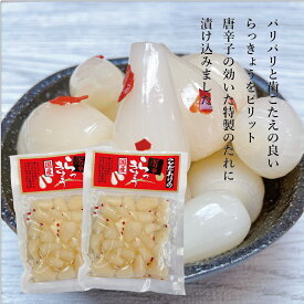 お中元 送料無料 ピリ辛らっきょう らっきょう漬け 国産 甘酢 170g×2袋 漬物 ピリ辛 おつまみ ご飯のお供 唐辛子 らっきょ メール便 ポスト投函 ピリ辛買い回り やみつき 岡山 父の日