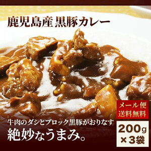 yԌI|Cg5{z 1000~|bL ggJ[ Y  3pbN  J[ gg { J[CX ۑ B n ۑH h  