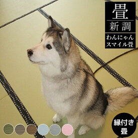 畳新調 畳替え 縁付き畳 ペット用畳【わんにゃんスマイル畳】半畳/1畳/4.5畳/6畳/8畳 ダイケンボード床 厚み30-60mm グリーン ブラウン ダークベージュ ホワイトブルー ホワイトピンク ホワイトグレー 縁無し畳にも対応