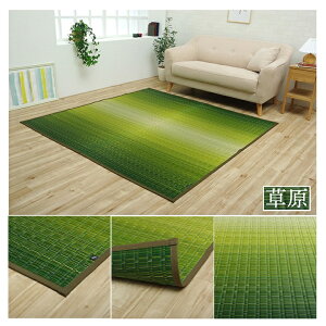 Y ԂJ[ybg |Dy厩Rz 6TCYWJ ]ˊ 1 2 3 4.5 6 8 O[ u[ C  _ ~ Ԃ  { RۖhL Rf