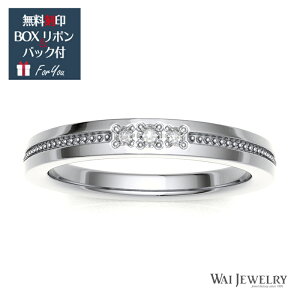 yTCY/󖳗zv`i_ChO Vv 蕨 ANZT[ Mtg JO NX}Xv[g LO i АȂ̂ňS CWG[ X^C