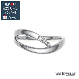 ȐC w }bWO@v`i PT900  \   Mtg v[g lC I ȐCfUC jp\ NX}Xv[g _C