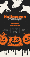 ハロウィンスペシャルパッケージ　スタートパッケージ　カラーパック　牛革ポーチ　サンタワールド　素材…