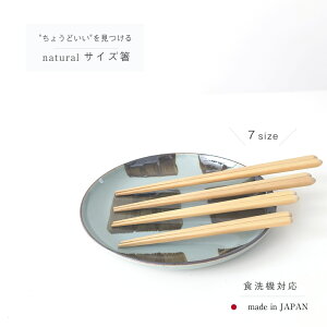 y9V܂Ń[։(200~)zዷh 7TCYI i` TCY 14`24cm (2ˁ`l܂){ q LbY  ͂ natural j j oYj Mtg 蕨 v[g  j