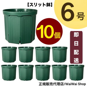 Xbg 6 CSM-180y10ZbgzXO[ ƂłȂ|bg b Ki   |Cg Aؔ K[fjO A |p v^[ ̃CeA |bg |