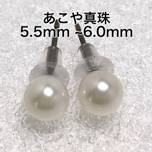 yƂ芪Ԏ싉zAR^sAX@5.5mm-6mm @`^@@AM[Ή@X^bh@zCg@{^@6́@a΁@^ p[@10000016@dp@Ep