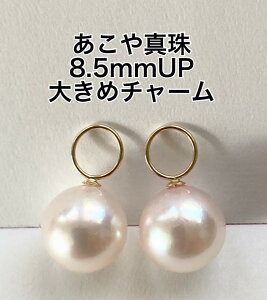 yƂ芪Ԏ싉z^@K18YG`[(a4.6mm)(sAXp) 8.5mm-9mm zCgsN iؖt t[vsAX@{^@6a΁@ʔ @209f@{^@a傫@p