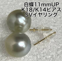 楽天市場】白蝶真珠 ピアスの通販