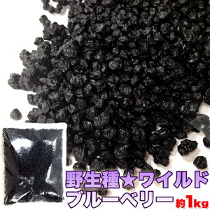 【送料無料】ワイルド ブルーベリー 1kg 業務用 大容量 野生種 無添加 ドライフルーツ ポリフェノール