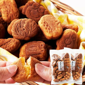 y[ẑȂ v`JXe 250g 2܃Zbg p ȈՕ XC[c aَq َq TCY JXe Ă