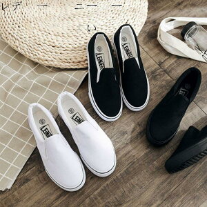 y fB[X Xj[J[  C ₷ ؂   V H t  50 40 30 20