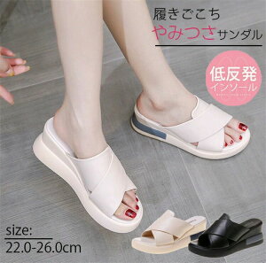 T_ EFbW\[ ~[ fB[X  T{ T{T_ ~[ q[ 傫TCY  q[ T_ 6.5cm r ~[ EGbW\[ nCq[ ~[T