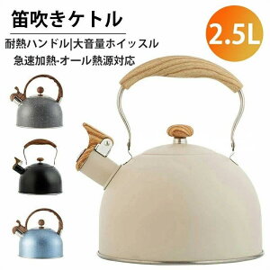 Pg XeX JPg 2.5L ₩ JPg zCbXPg Pbg XeX Pg Lb`G  KXΑΉ IHΉ e Pg Lb`pi L 킢 