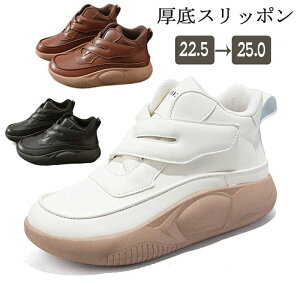 Xj[J[ fB[X O Xb| fB[X V[Y O Xj[J[ nCJbgXj[J[  RtH[gV[Y  EH[LOV[Y ʋC