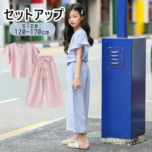 q ZbgAbv KE`pc uEX LbY㉺Zbg Chpc  gbvX ̎q qW[W ZbgAbv q ̎q WjA LbY ㉺Zbg TV