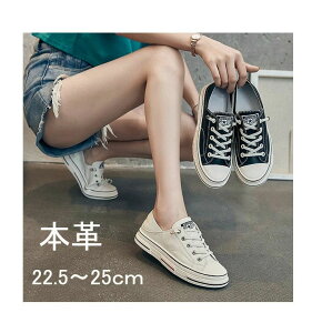 Xj[J[ fB[X RtH[gV[Y {v V[Y  ^C X|[c EH[LO ₷ _炩 y JWA t ʋC v[g