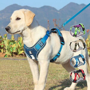 ybgn[lX  L [h ϋv v  @\  `bL 4TCY  ʋC  ^ ^ K ł AEghA ɂ