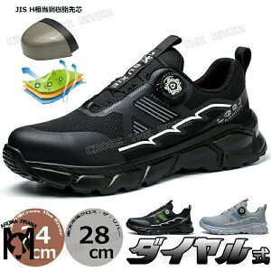 SC  [Jbg IV SC  Y _C 傫TCY 29cm ʋC y ₷ ɂ AC Ռz ƌC ʋC S |c AEgh
