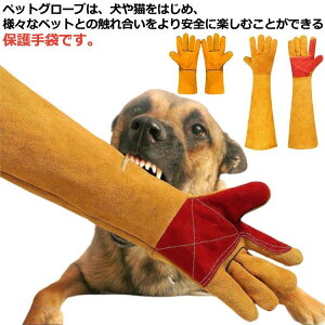 C菝h~ ˂hh~ O O[u    Z[teBO[u  ی  ϔM ybg gg  ybg hn