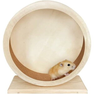 nX^[񂵎 񂵎 TCgzC[ nX^[ߋ nX^[ bg nlY~ ``  XgX (L 25 cm ؂̐F)