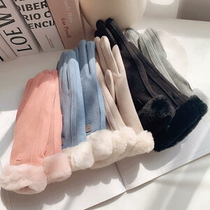 fB[X  ~ h ۉ N w jp t@[ E[ _炩  g ʋ ʊw oCN NX}X Mtg (u[)