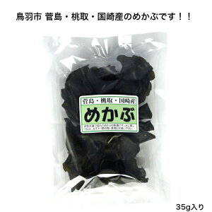 yOdHs EEYzyɐuz߂ 35g ߂ az 芔  AM_ tR_C lolo X` |̕ ϕ Y OdY ֒ ֔΍ J[ ~
