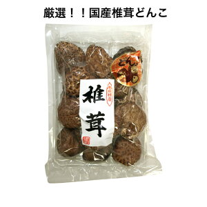 yYIz ő ǂ 140g  | Ղ ǂ̂I ܖ OAj_ VC^P