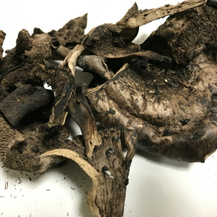 楽天市場】【国産 天然】乾燥香茸30g（乾燥前：300g 