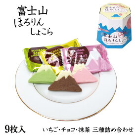 富士山 お土産 富士山ほろりんしょこら 9枚入 静岡 おみやげ ほろりんショコラ ほどけるしょこら 抹茶 いちご チョコ 詰合せ クッキー 洋菓子 わかふじ