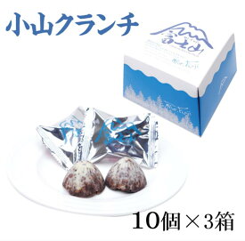 【静岡 お土産】富士山 小山クランチ 10個入×3箱 静岡みやげ 富士山クランチ 手土産 チョコクランチ チョコレート菓子 世界文化遺産 世界遺産 富士山 おみやげ 山好き 登山好きの人へ 通販 販売 送料コミコミ わかふじ 富士山 お土産