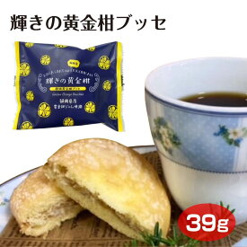 静岡 お土産 輝きの黄金柑ブッセ しずおか おみやげ 洋菓子 ブッセ スイーツ 黄金柑 柑橘 おやつ わかふじ