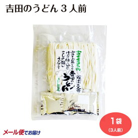 うどん 生めん 吉田うどん 吉田のうどん よしだうどん udon 富士吉田 こしの強い つゆ付 名物 山梨 和食ご当地 麺 郷土料理 お土産 おみやげ よしだのうどん 3人前 わかふじ