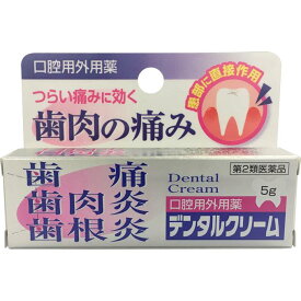 【第2類医薬品】デンタルクリーム口腔用外用薬5g