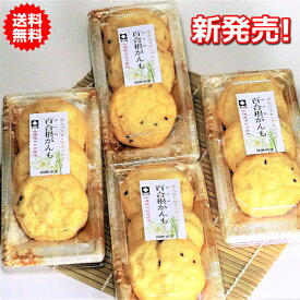 販売再開！ 当店だけ！ゆり根がんもどき 3個入り4パック がんも がんもどき ゆりね 百合根 ユリ根 ゆり根 静岡おでん 絶品 美味しい食べ物 お取り寄せ お取り寄せグルメ 美味しいもの おいしいもの ひりょうず 飛竜頭 ひろうす 冷蔵 送料無料