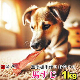 馬スジ 1kg〜〔200g毎の小分け〕 馬すじ ペット用 馬肉 犬 【乾燥又はボイルしてペットに与えてください】 手作り おやつ 馬肉すじガム 歯みがき 歯磨き ハミガキ 犬のおやつ 歯石 犬おやつ 歯磨きガム 犬のガム