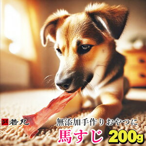 馬スジ 200g 馬すじ ペット用 馬肉 犬 【乾燥又はボイルしてペットに与えてください】 手作り おやつ 馬肉すじガム 歯みがき 歯磨き ハミガキ 犬のおやつ 歯石 犬おやつ 歯磨きガム 犬のガム