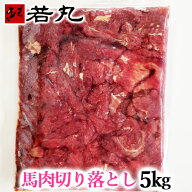 馬肉 切り落し 5kg〜 【1kg毎の小分けで便利】馬肉 煮込み用 板状だから冷凍庫にスッキリ収納 馬ガッキ煮…