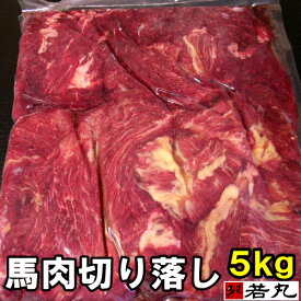 馬肉 切り落し 5kg 〔1kg×5パック〕馬肉 煮込み用 板状だから冷凍庫にスッキリ収納 馬ガッキ煮 すじ スジ メガ盛り 切り落とし 切落し 切落とし ペット用 馬肉 犬 おやつ ペット馬肉 犬用 猫用 生肉 ドッグフード 馬 すじ 肉