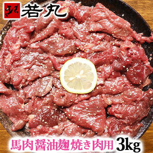 n ݖēp 1kg Mp Ă ݖē ݖ  Ђ  ݖ  Ђ ̓Mtg 2025  ݖ  ̓  Mtg ē o[xL[ K BBQ v