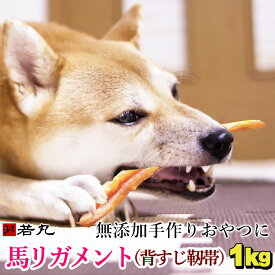馬リガメント（腱 テンドン 背筋 靭帯）1kg〜 〔200g毎の小分け〕 ペット用 無添加 馬肉 手作りおやつに 犬 おやつ 馬背筋 ガム 犬用 ジャーキー 犬 おやつ 歯みがき 歯磨き ハミガキ 犬のおやつ 歯石 犬おやつ 歯磨きガム 犬のガム はみがき 背すじ いぬ 犬用ガム 馬 背スジ