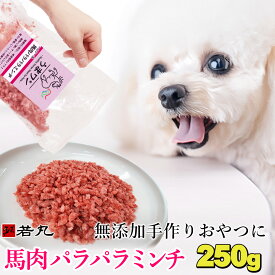 ヘルシー 生馬肉 パラパラミンチ (冷凍) 【250g×1〜10パック】 【ジッパー付きで便利】赤身 ミンチ パラパラ 馬肉 生 犬用 猫用 ペット用 無添加 犬 おやつ 生肉 馬肉ミンチ 猫 ドックフード ドッグフード 挽き肉 挽肉 ペット 冷凍ミンチ 低カロリー シニア アレルギー 老犬