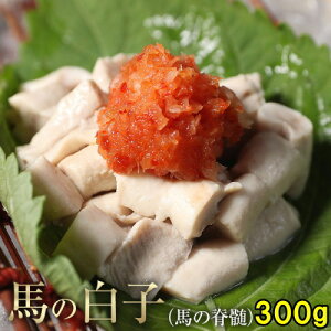 n炱 300g Mp Ґ q ̓Mtg 2025 ̏i͉Mpł 炱 q|| ZLYC ||Řa 