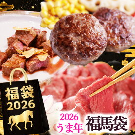 【うま年企画★福馬袋】福袋 食品 2026 馬年 うま年 午年 父の日 父親 父の日 ギフト グルメ 肉 食べ物 人気 送料無料 内祝い おつまみ 馬刺 赤身 つまみ 贈り物 冷凍 馬肉 詰合せ 詰め合せ