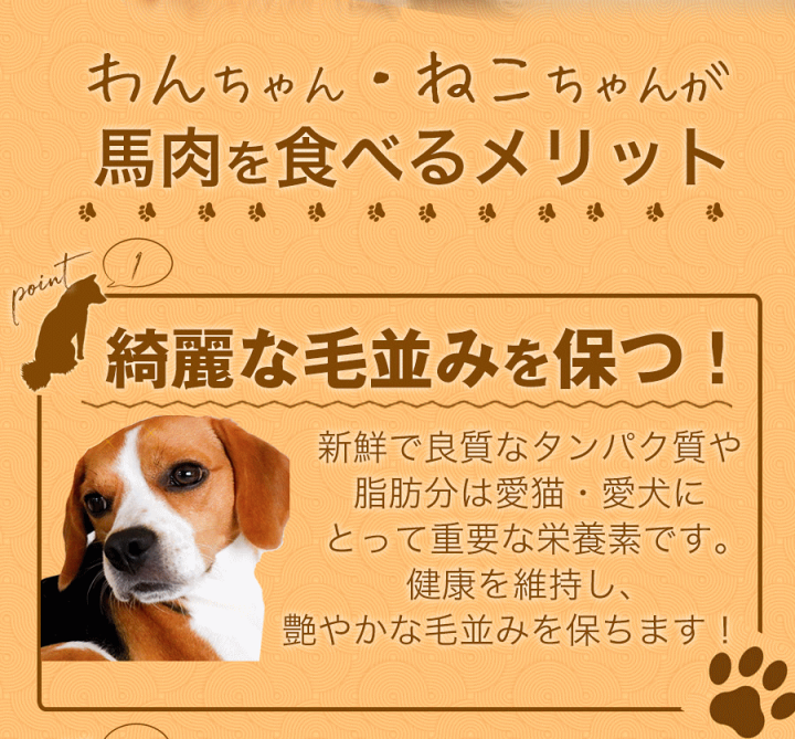 馬肉 上赤身 5kg ペット ペットフード ワンちゃんにも大人気のヘルシー生肉 まとめ買い ミンチ