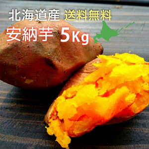 yő1500~OFFz܂ 2kg 5kg kCY  nEBXC[g ܂͂Â [ g͂邩 n x 50x VNXC[g ӂނ炳 䂫܂ ܂͂ ׂɂ͂邩 I