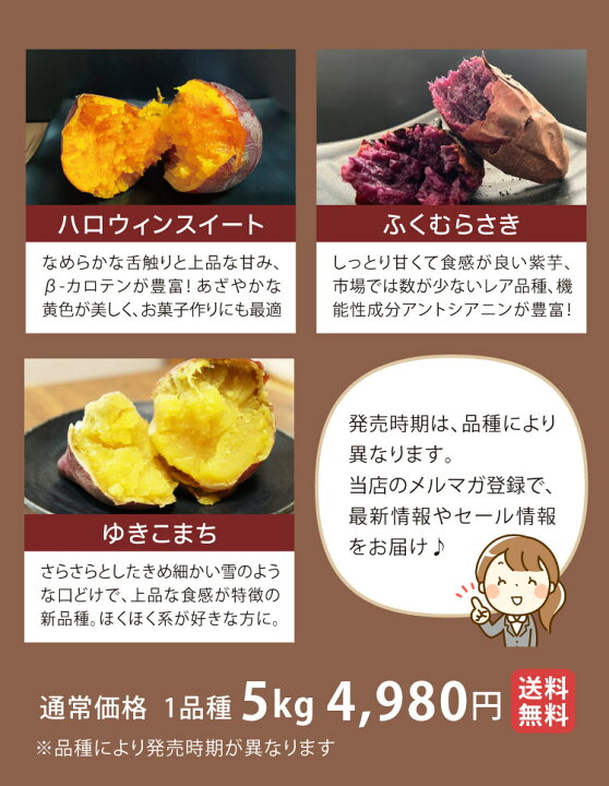 楽天市場】農薬不使用 さつまいも 送料無料 紅はるか ハロウィン 