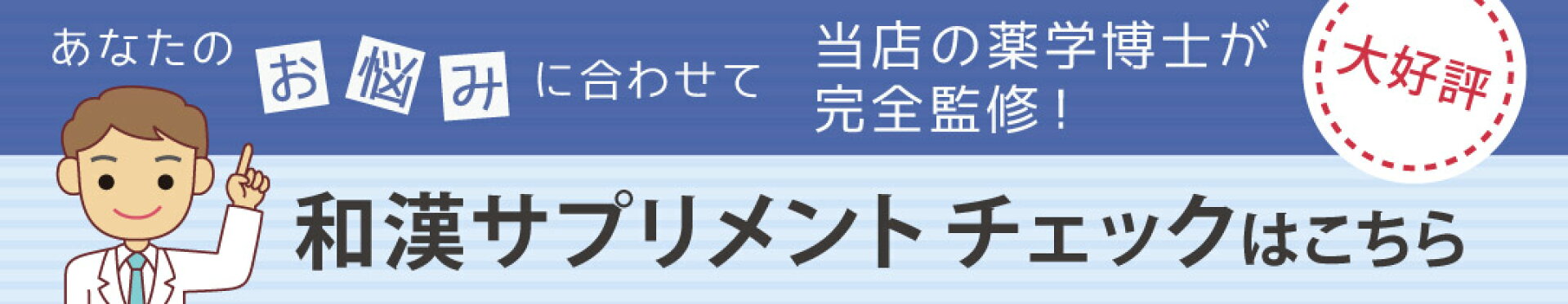 和漢SINCA　和漢チェック