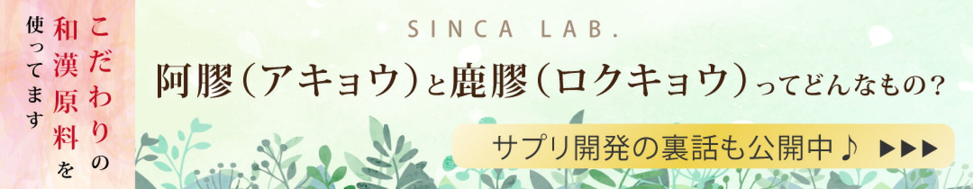 和漢SINCAの原料へのこだわりや商品の開発秘話を公開中