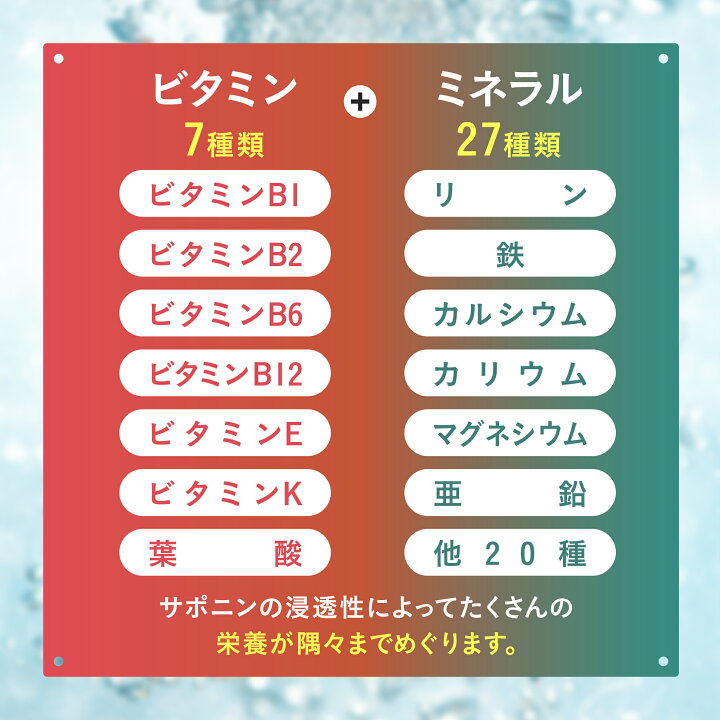 楽天市場】【2袋セット】 田七人参 白井田七 240粒パウチ 高麗人参  