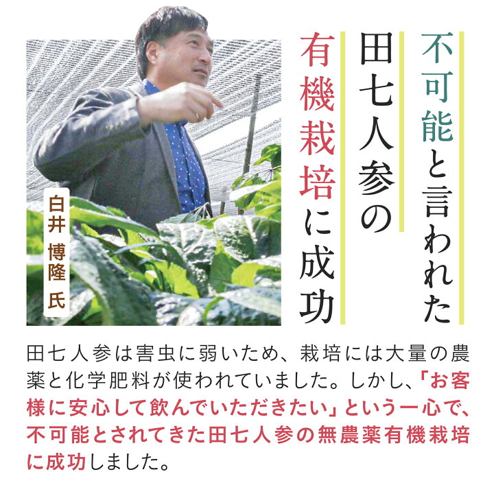 楽天市場】【2袋セット】 田七人参 白井田七 240粒パウチ 高麗人参 
